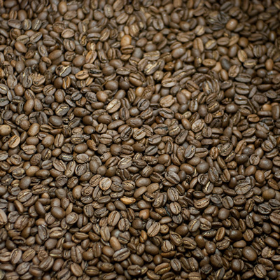 ���J�@���P���v�`�@�T�O�O���l